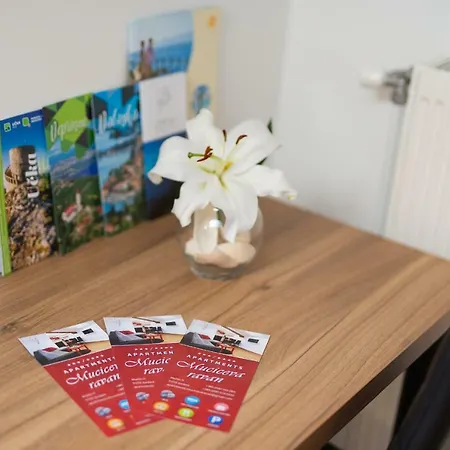 Apartament Muciceva Ravan