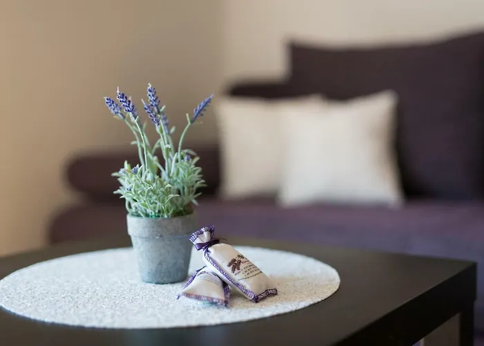 Muciceva Ravan 아파트 Jurdani