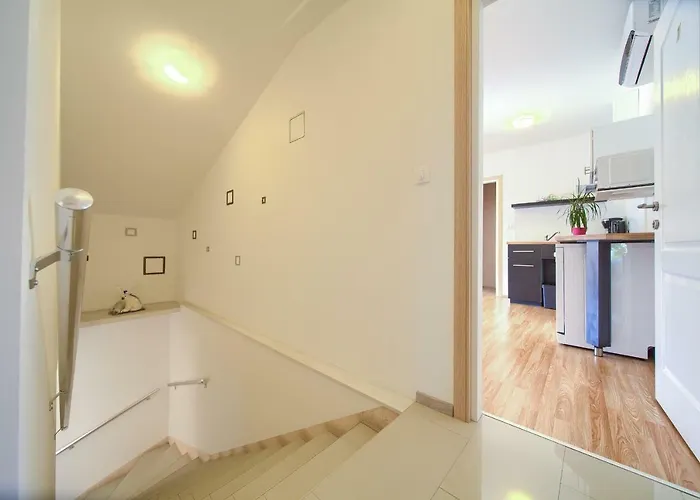 Muciceva Ravan * Jurdani