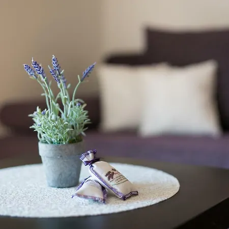 Muciceva Ravan Apartman Jurdani